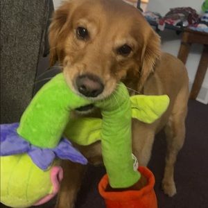 Meet your Posher, Trinity